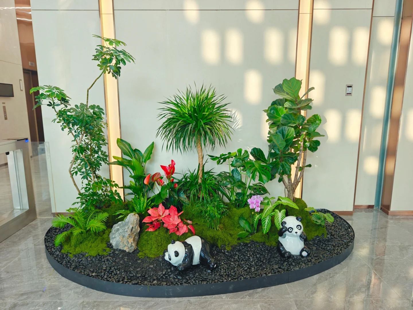 专业打造北仑植物租摆,营造舒适宜人氛围